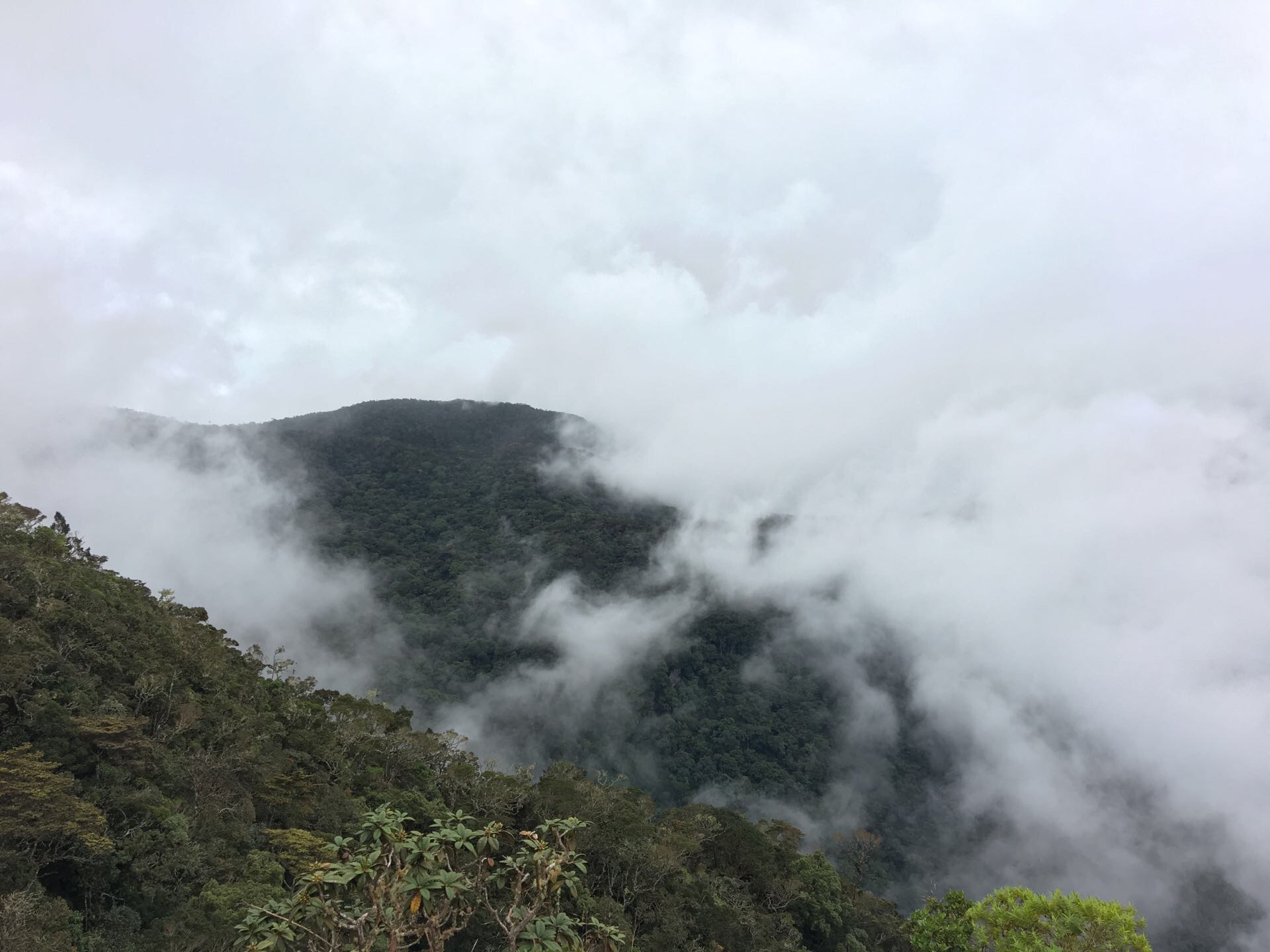 霍顿平原世界尽头