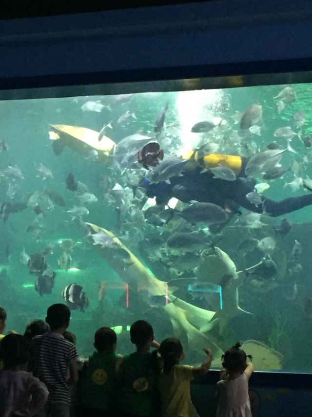 Nanchong Polar Ocean World