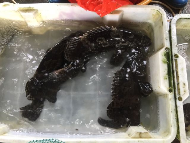 환구부두