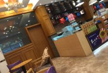 第一炉面包(河西店)美食图片