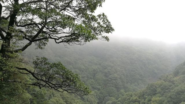 福州雲頂
