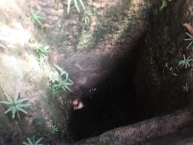 꾸찌 땅굴