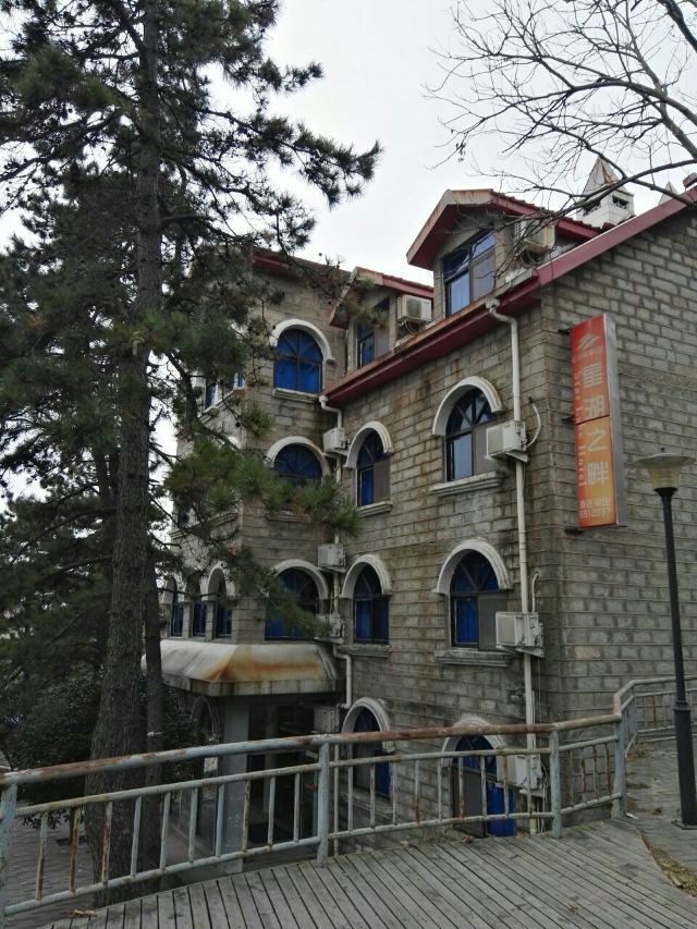 수탉 산