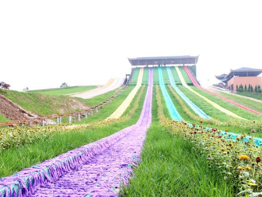 富顺欢乐圣果园