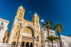 圣文森特德保罗大教堂-突尼斯-尊敬的会员