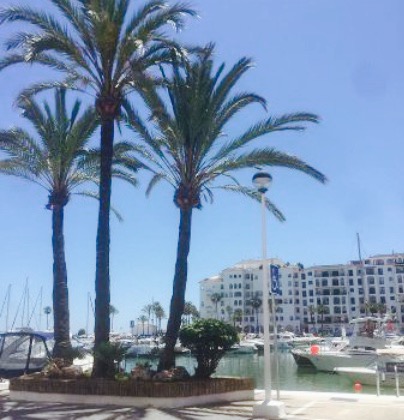 Dolphin Cafe Bar餐厅图片