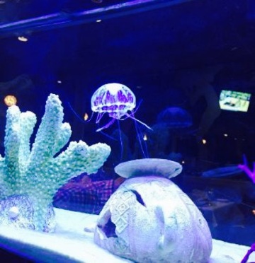 Ocean Club Restaurant餐厅图片