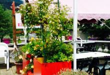 Bar - Pizzaria Le Paradiso美食图片
