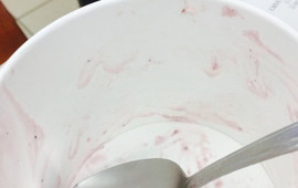 Oberweis Ice Cream and Dairy Store