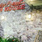 Rocky Point Town House Diner