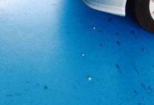 Area de Servicio O Corgo美食图片