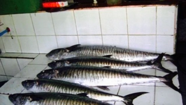 Rosita's Native Restaurant bythebay