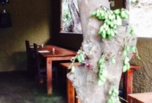 Bamboo Restaurant美食图片