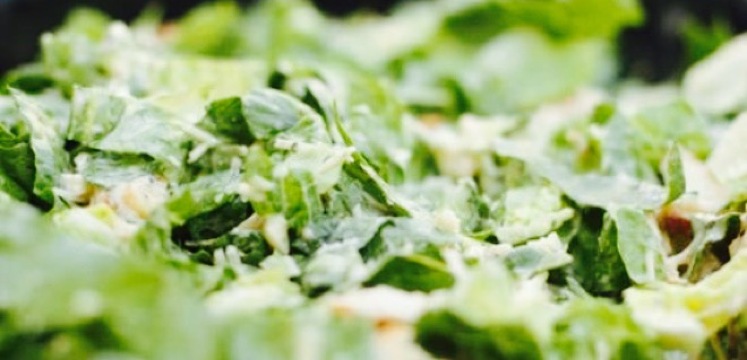 Prairie Grille Restaurant餐厅图片