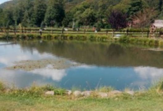 Hanul Pescaresc美食图片