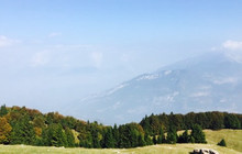 Malga Campei餐厅图片