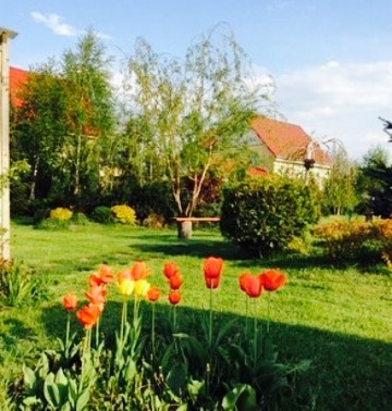 Restaurantul Pizzerie Aristocratis