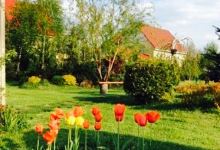 Restaurantul Pizzerie Aristocratis美食图片