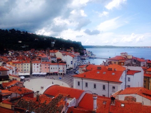 Gostilna Mario餐厅图片