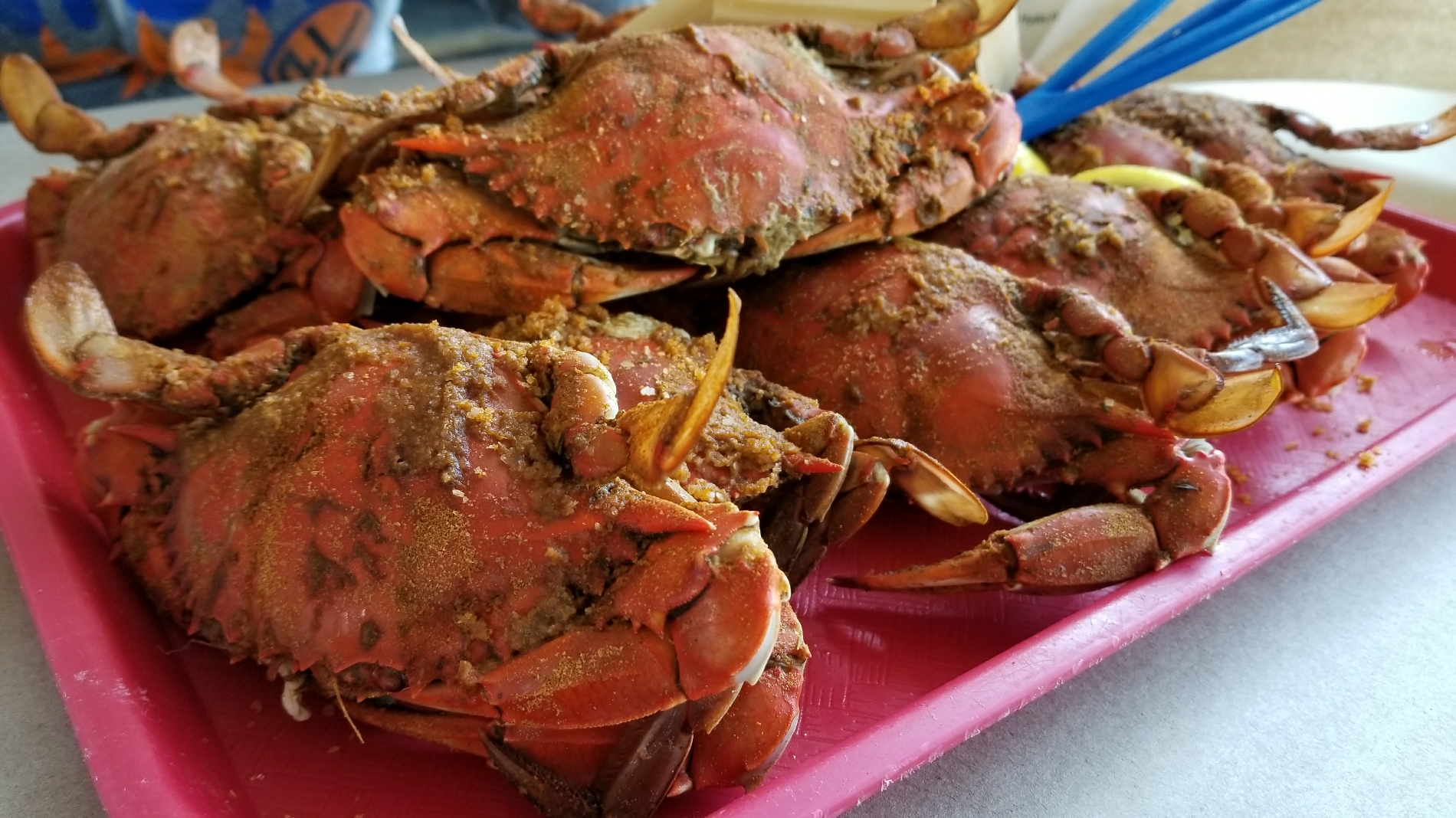 On the Bay Seafood餐厅图片