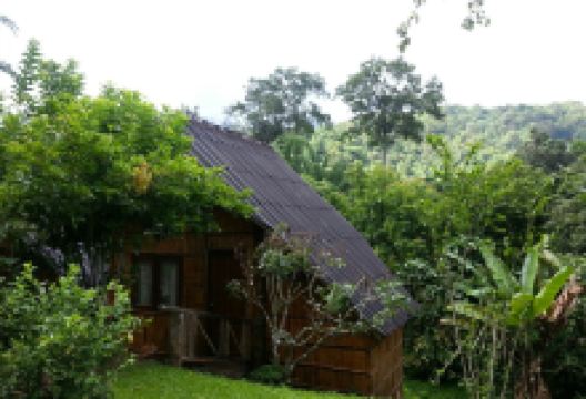 Chiang Dao Nest 1 Restaurant美食图片