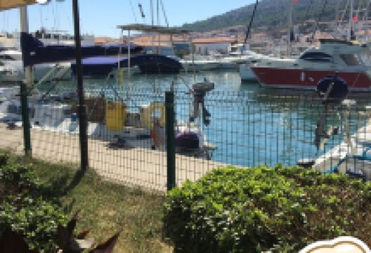 Verano Cafe & Bistro美食图片