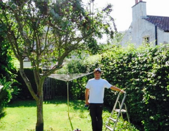 Hazelwood Tea Rooms餐厅图片