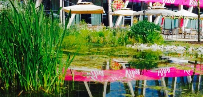 Restaurant in der Viba Erlebniswelt