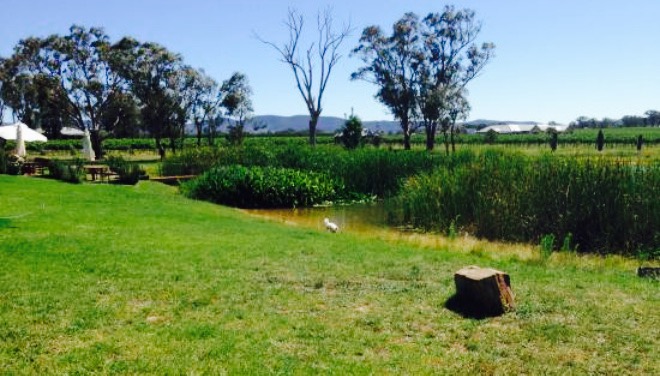 di Lusso Estate Winery