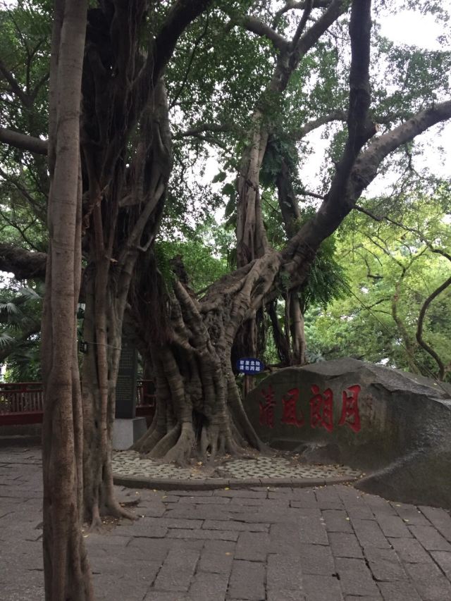 위산(어산)
