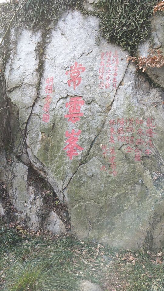 Dayangshan National Forest Park