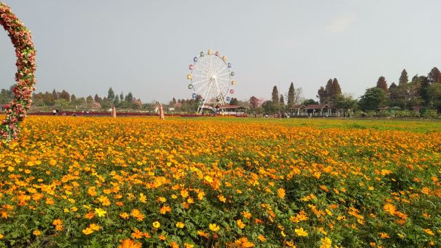 Yuntai Garden
