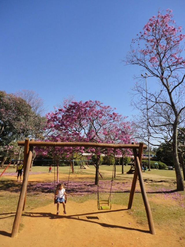 Ibirapuera Park
