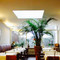 Claudio Ristorante