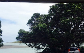 Orca Restaurant & Bar
