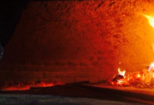 Pizza Palatino美食图片