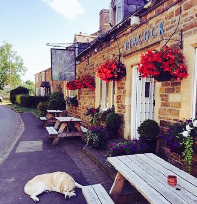 The Peacock餐厅图片