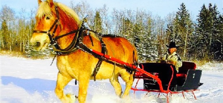 Westlake Grill at Heritage Ranch