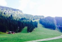 Area Pic-Nic Piani di Pezze美食图片