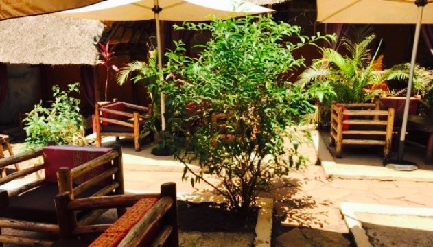 Cassava Republic餐厅图片