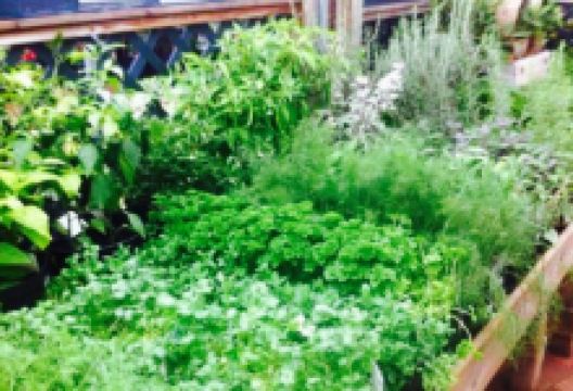 Bury Lane Farm Shop Cafe美食图片