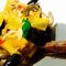 Pizzeria Lucania