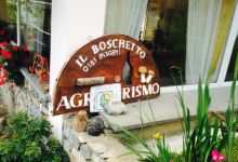 Agriturismo Il Boschetto美食图片