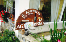 Agriturismo Il Boschetto餐厅图片