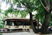 Taverna Halaris美食图片