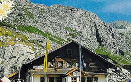 Gasthaus - Kolnbreinstuberl
