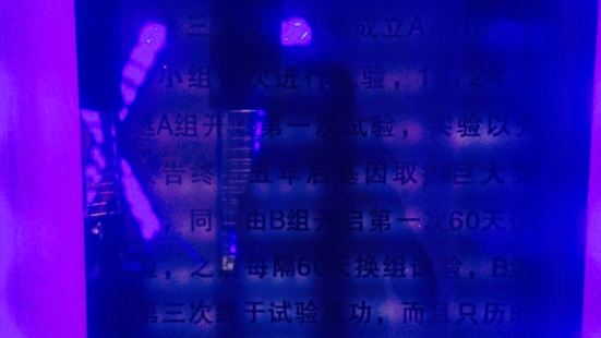 顛九宮密室逃脫(旺角店)