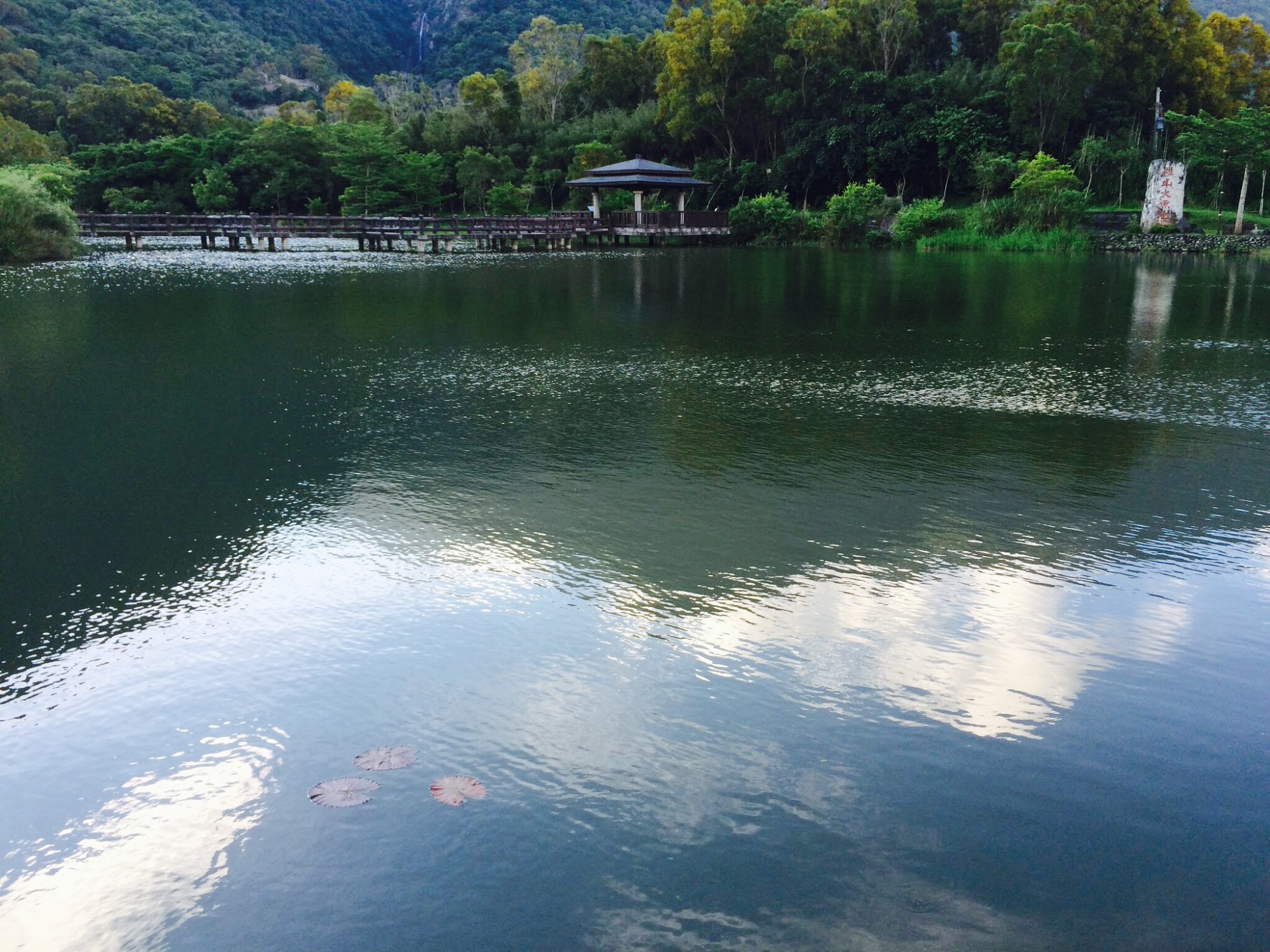 罗山大鱼池
