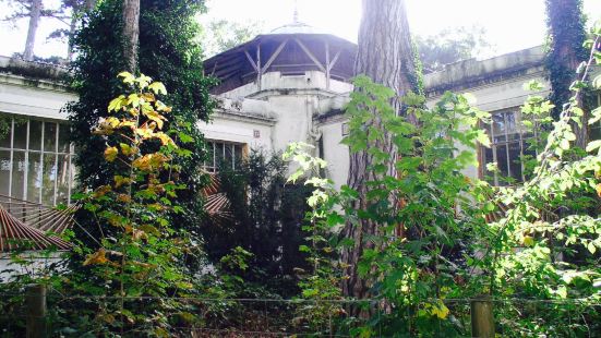 Jardin Tropical