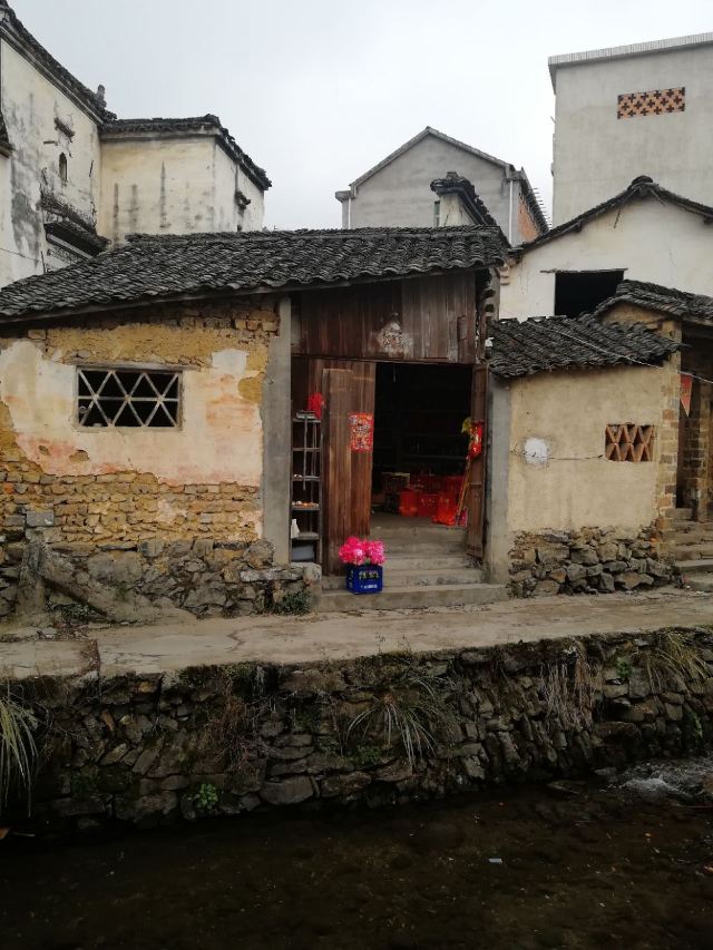 芹川村